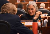 Rep. Rebecca Himschoot during a session of the Alaska House of Representatives.