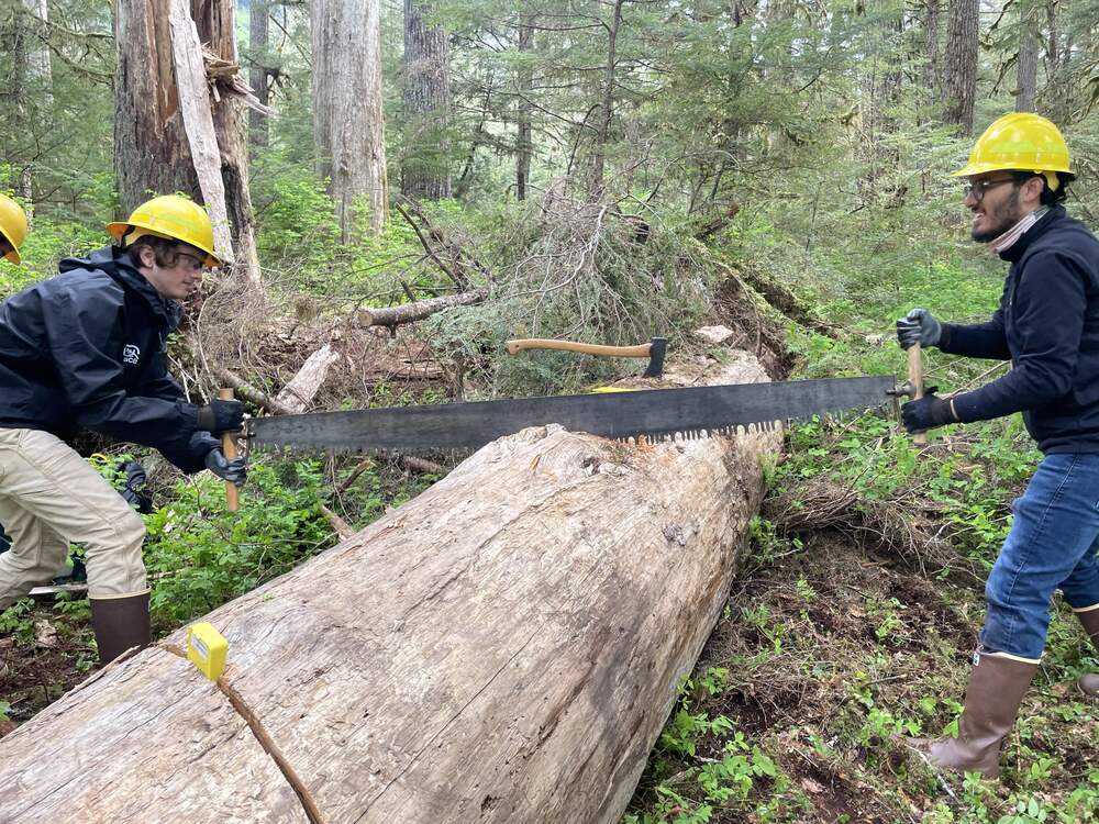 Forest Service working to clear Petersburg Lake Trail - Petersburg Pilot